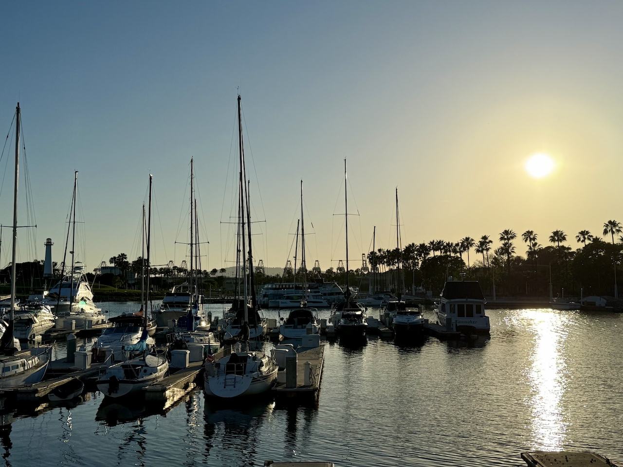 boats in the marina