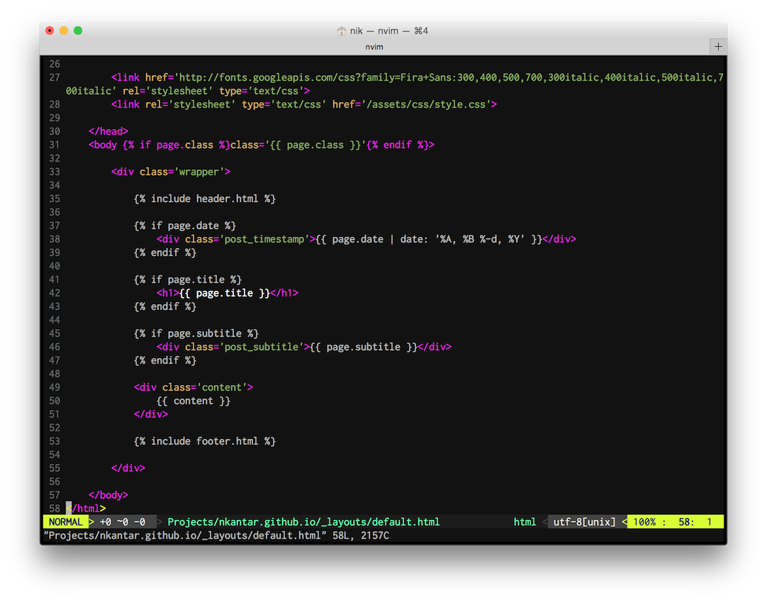 Neovim in the Pro Terminal theme